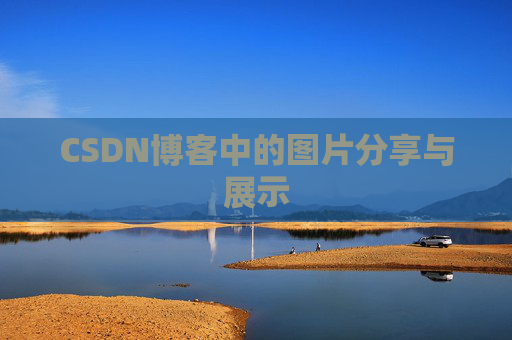 CSDN博客中的图片分享与展示